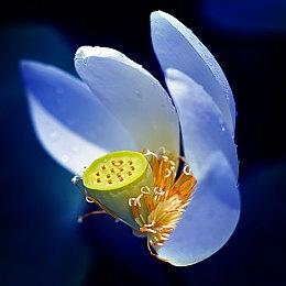 视觉小说推理游戏《见习侦探》现已在Steam发售 国区17元